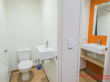 Chambre Chez L'habitant Auckland 249276-10