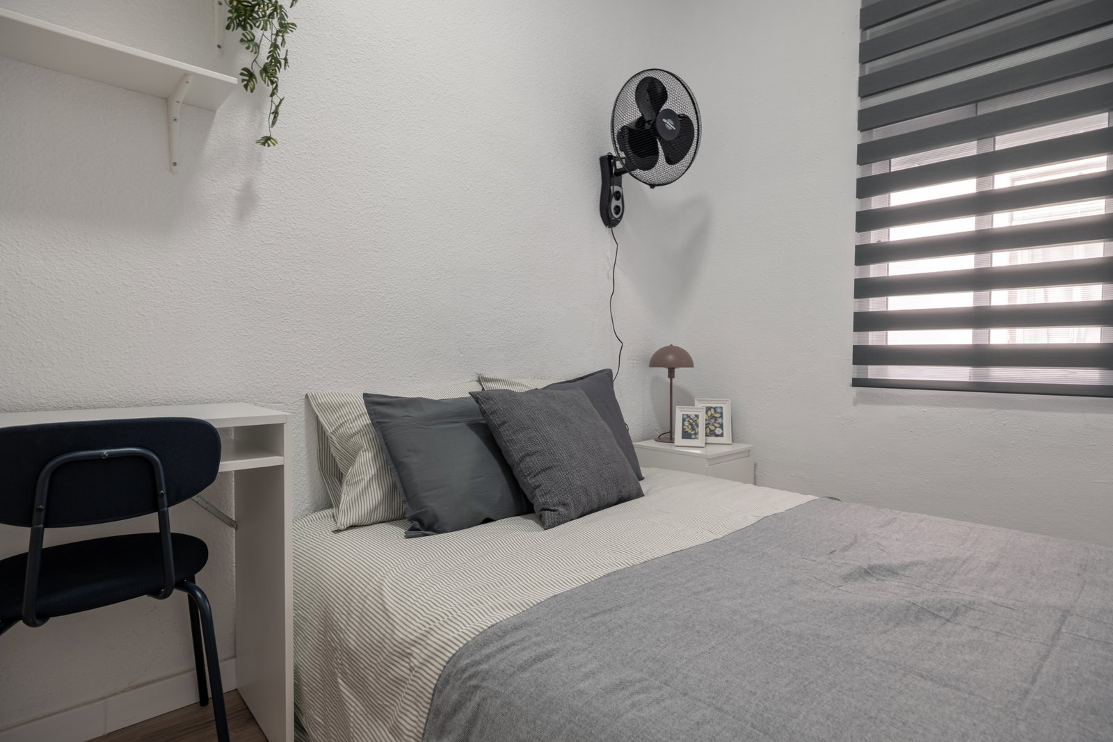 Homestay Alicante 665706