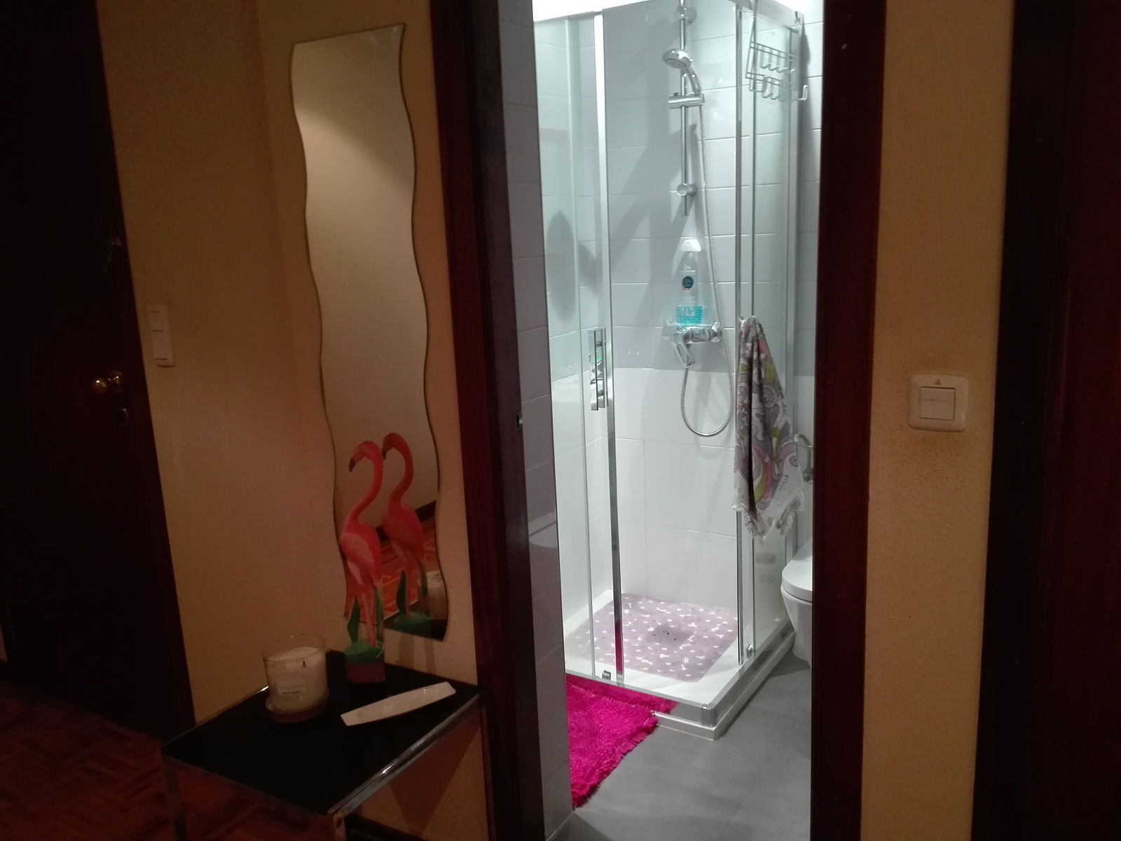 Homestay Donostia 208876