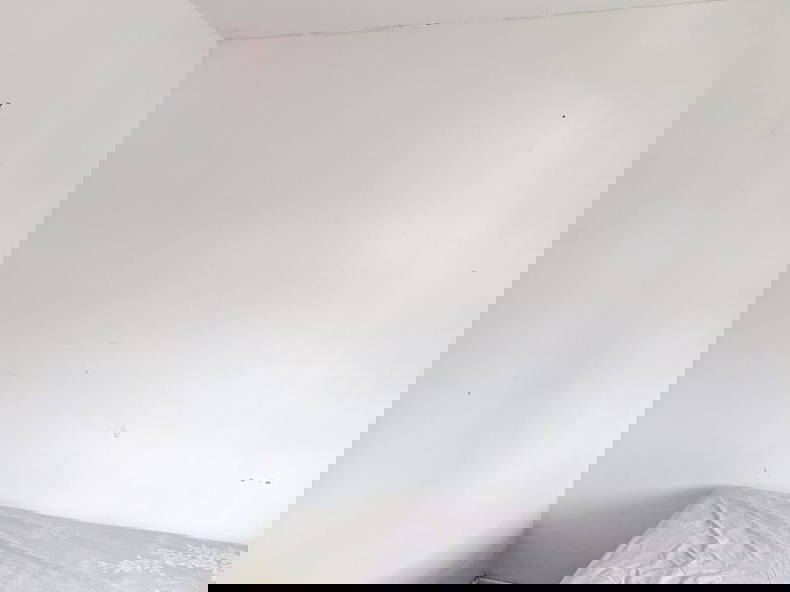 Famiglia Banbury 626189-2