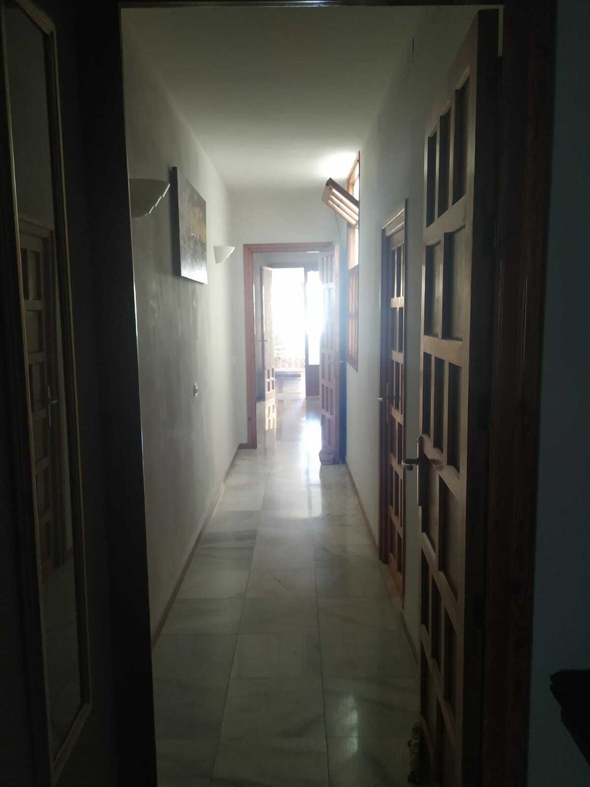 Colocation Sevilla 230040