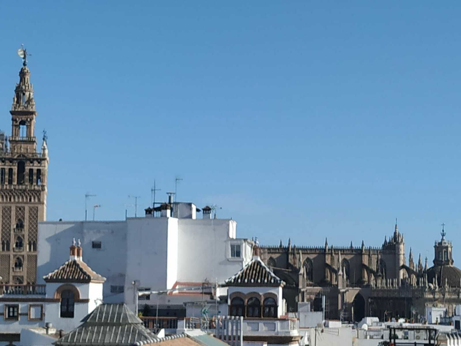 Colocation Sevilla 230040