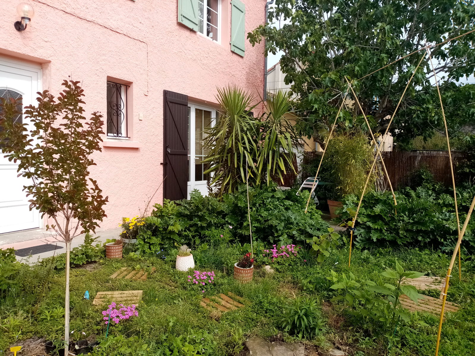 Homestay Espéraza 267064