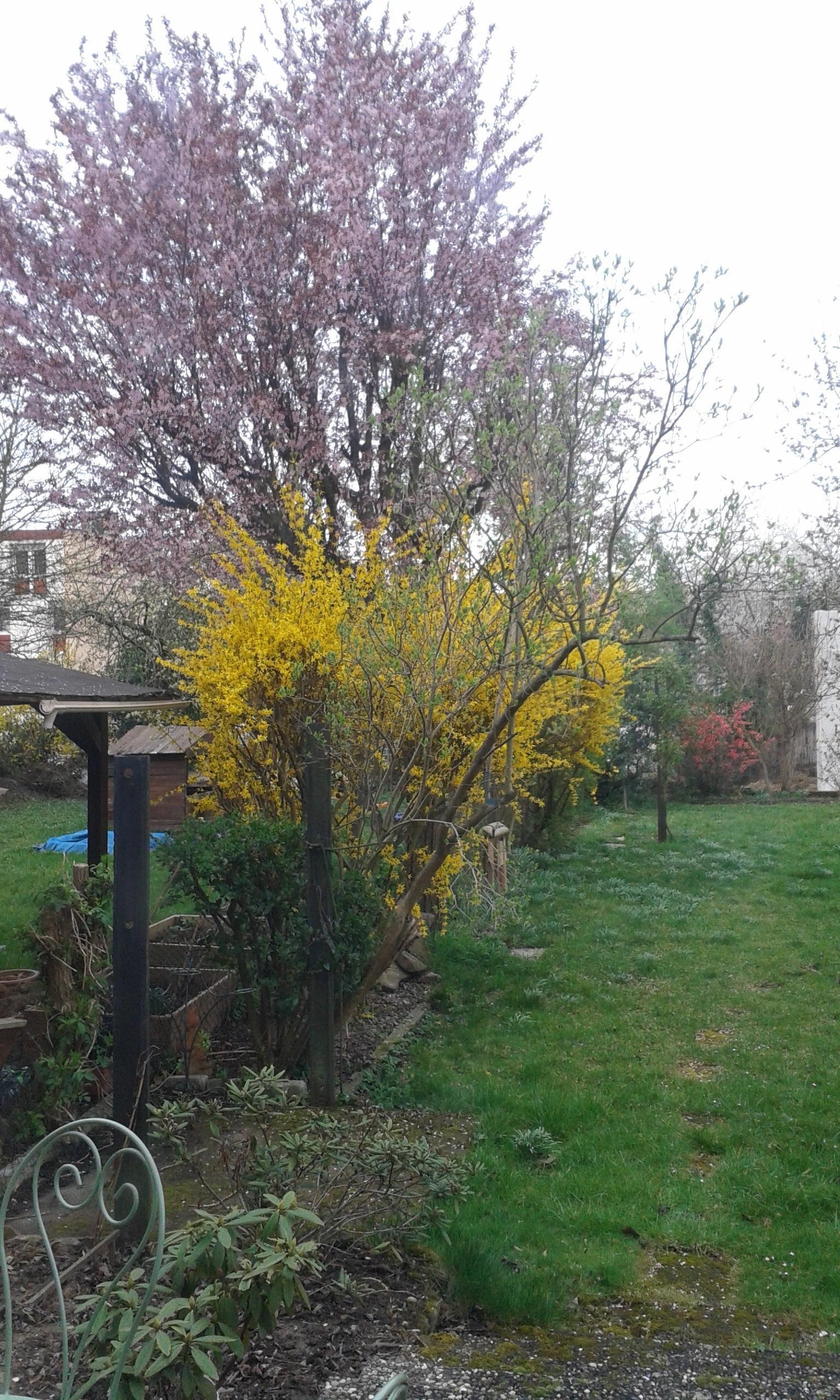 Homestay Strasbourg 17302