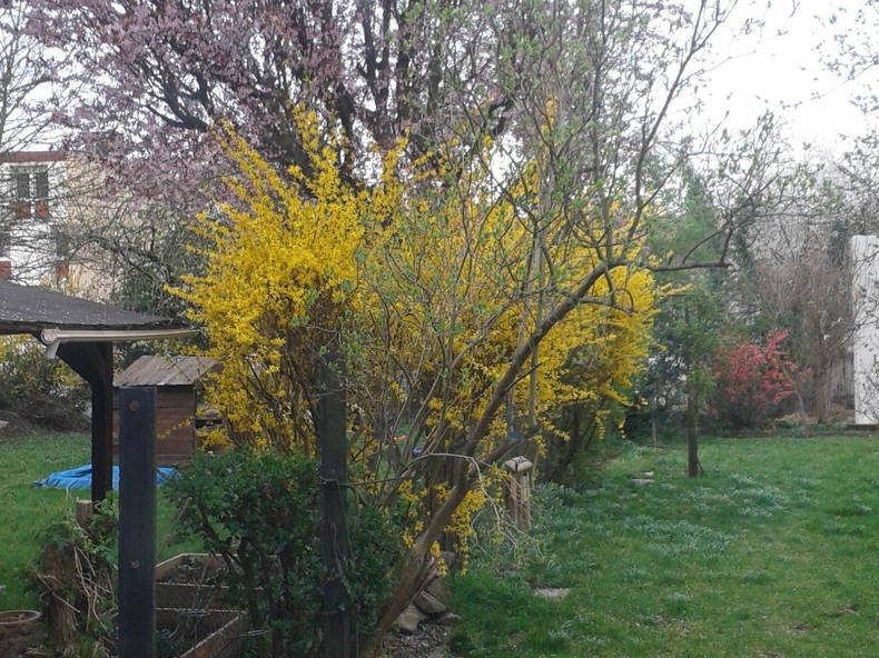 Gastgezin Strasbourg 17302-3