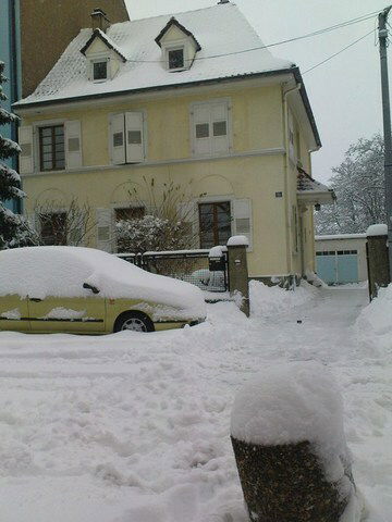 Homestay Strasbourg 17302