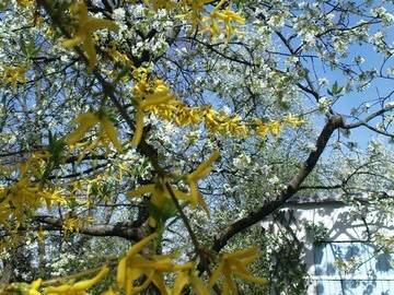 Chambre Chez L'habitant Strasbourg 17302-6