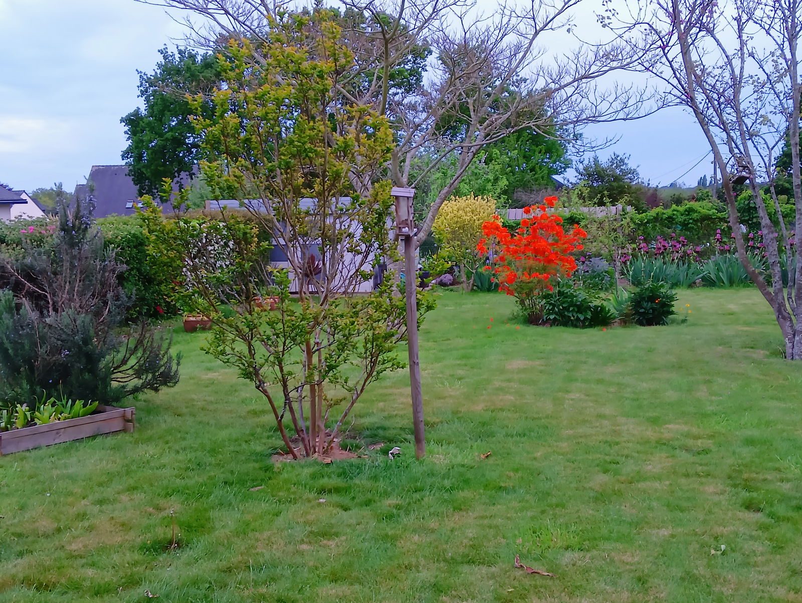 Homestay Ploemeur 266277