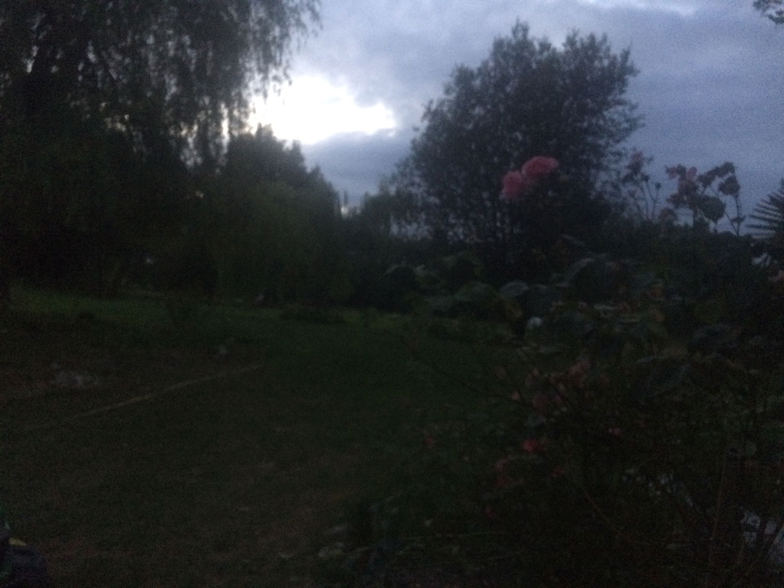 Homestay Lisieux 208998