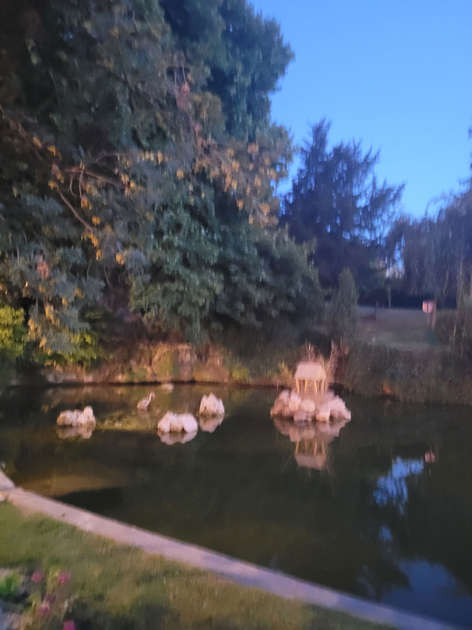 Colocation Ris-Orangis 364687