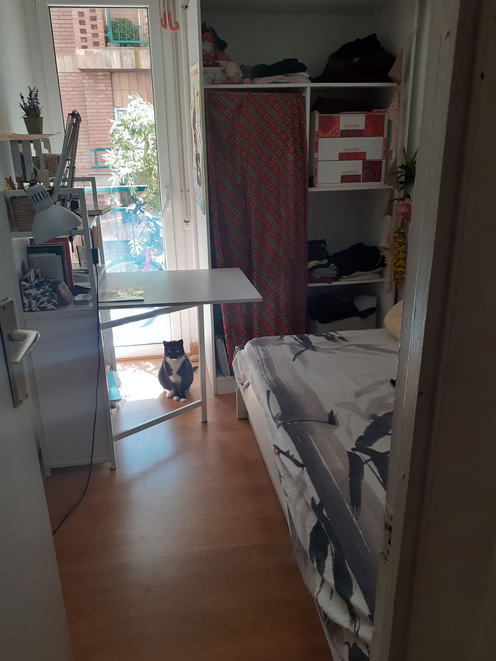 Homestay Barcelona 226880