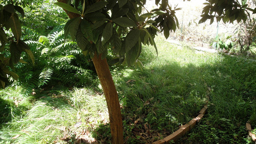 Homestay Napoli 240752