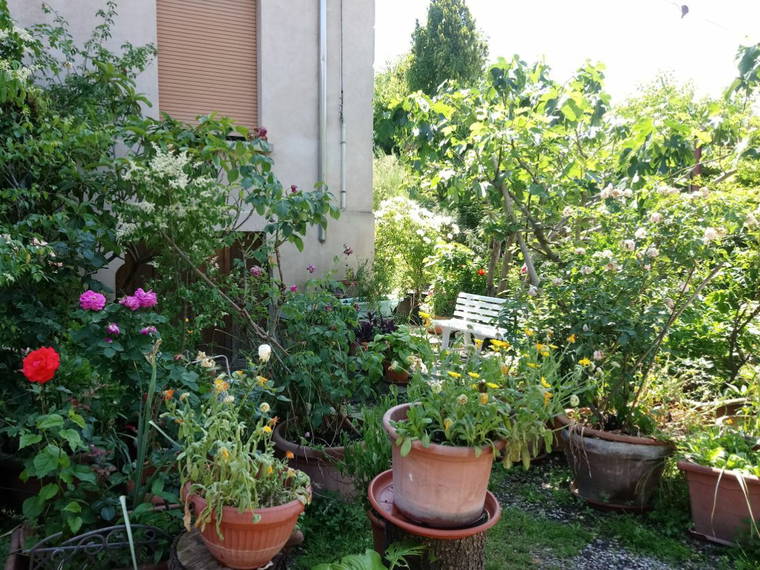 Homestay Parma 257367