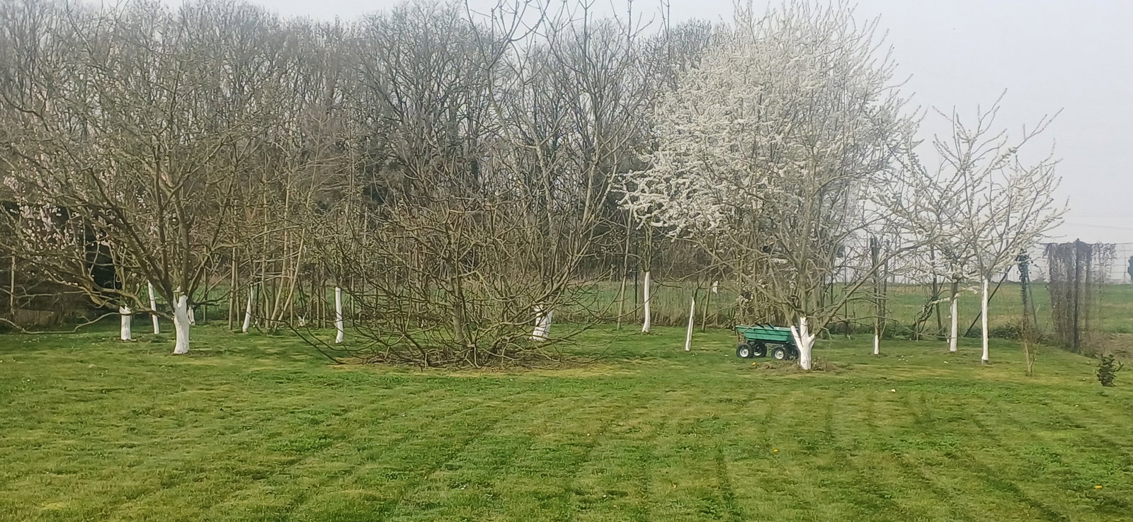 Famiglia Quincy-Voisins 236756