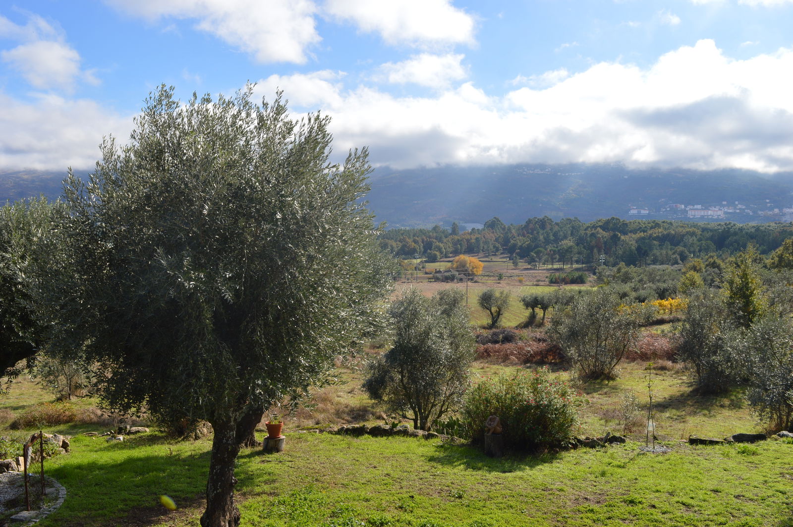 Famiglia undefined 249309