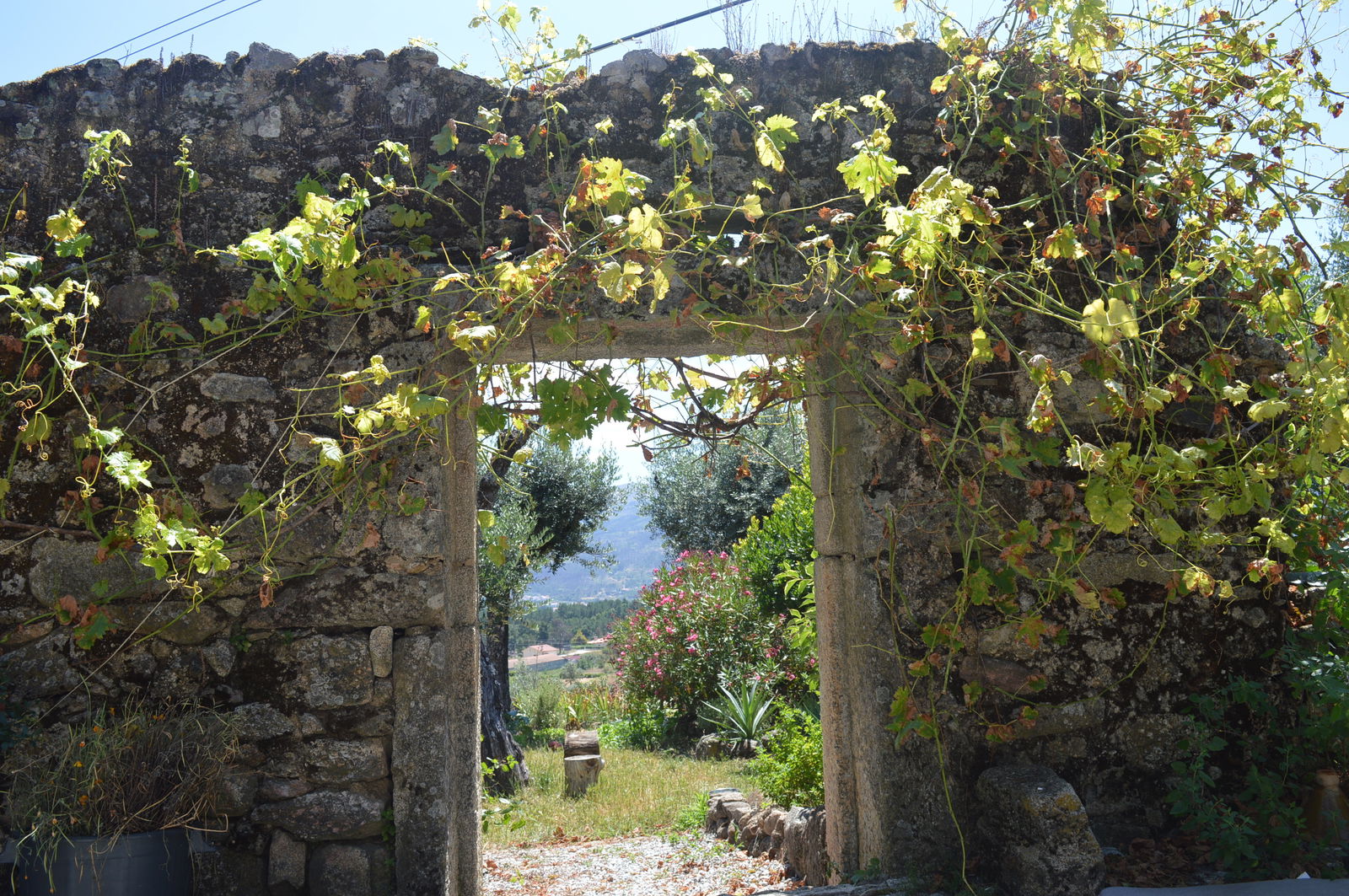 Famiglia undefined 249309