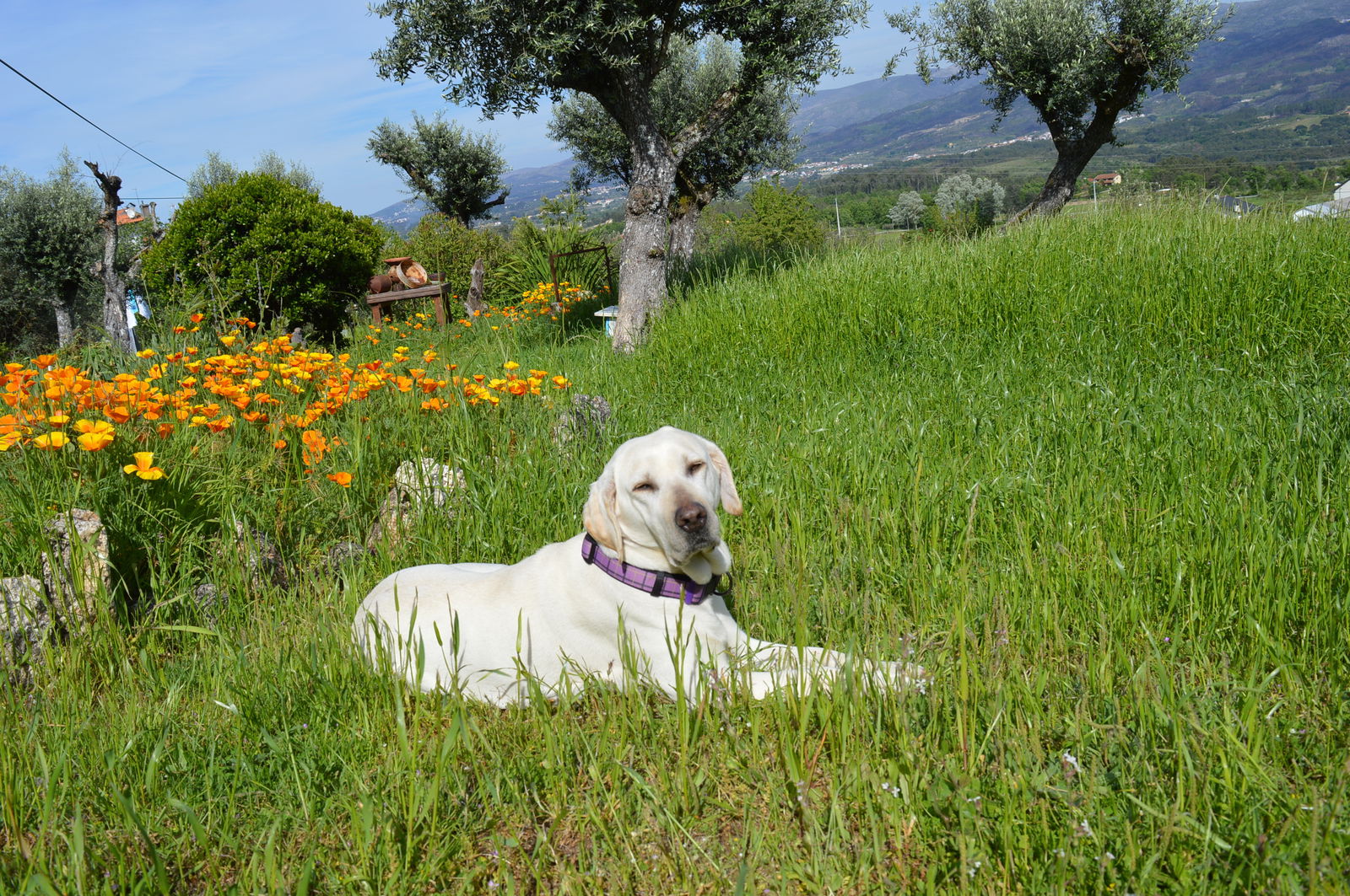 Famiglia undefined 249309