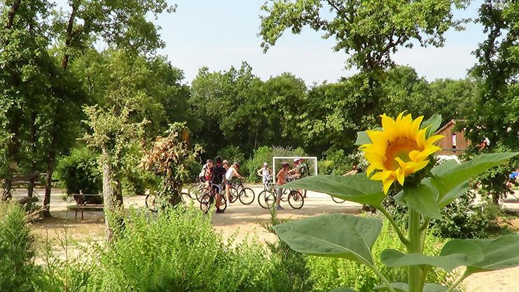 Monolocale Indipendente Saint-Antonin-Noble-Val 102425