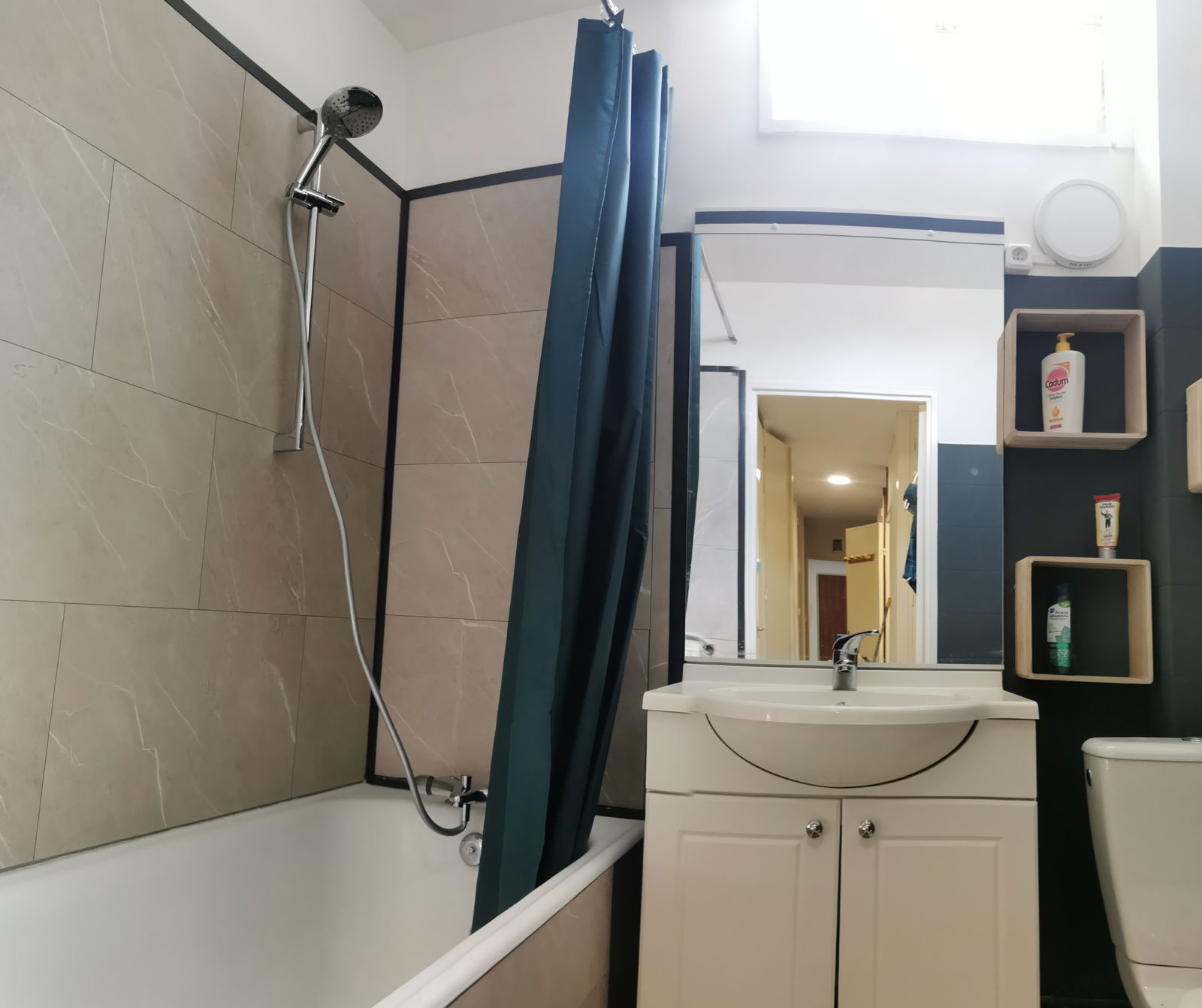 Kolokasie Saint-Étienne 589605