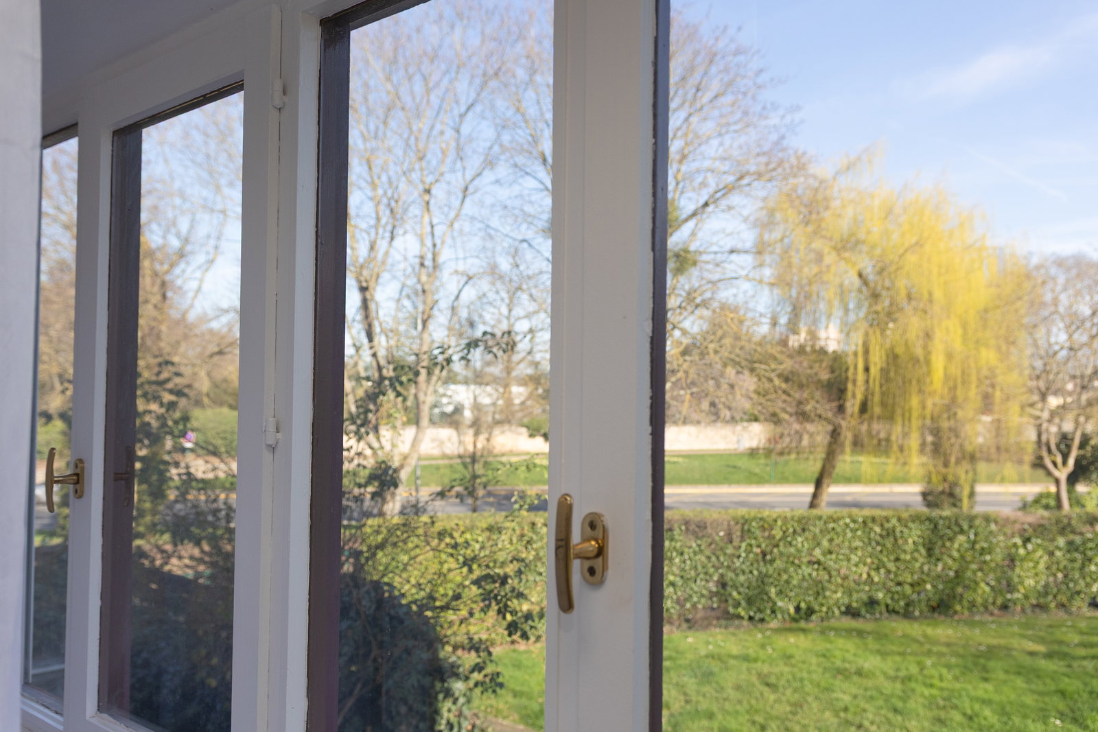 Kolokasie Évry-Courcouronnes 659937