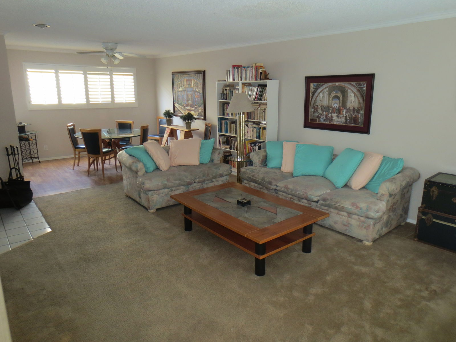 Kolokasie Los Angeles 113188