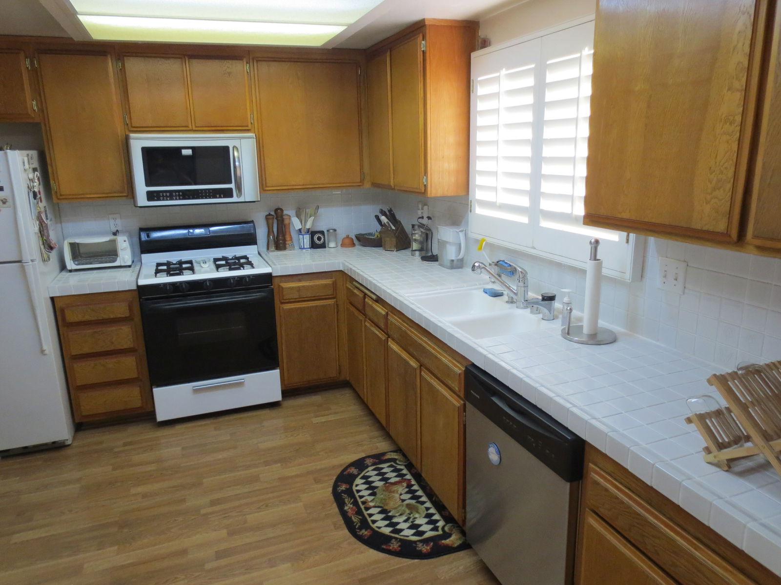 Kolokasie Los Angeles 113188