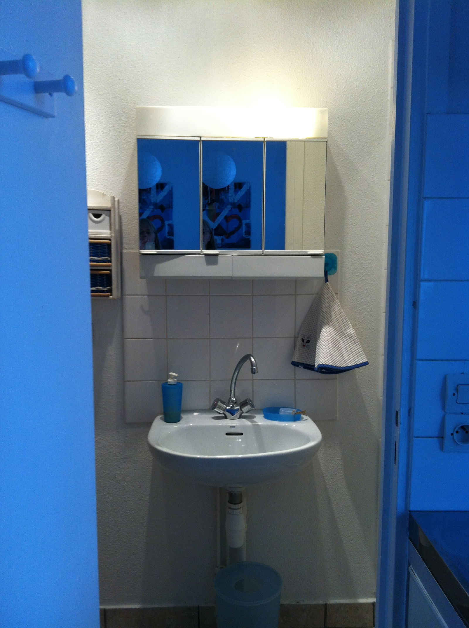 Homestay Caluire-et-Cuire 115697