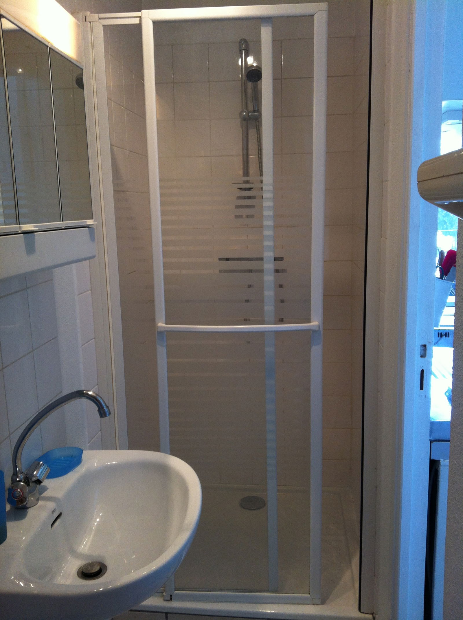 Homestay Caluire-et-Cuire 115697