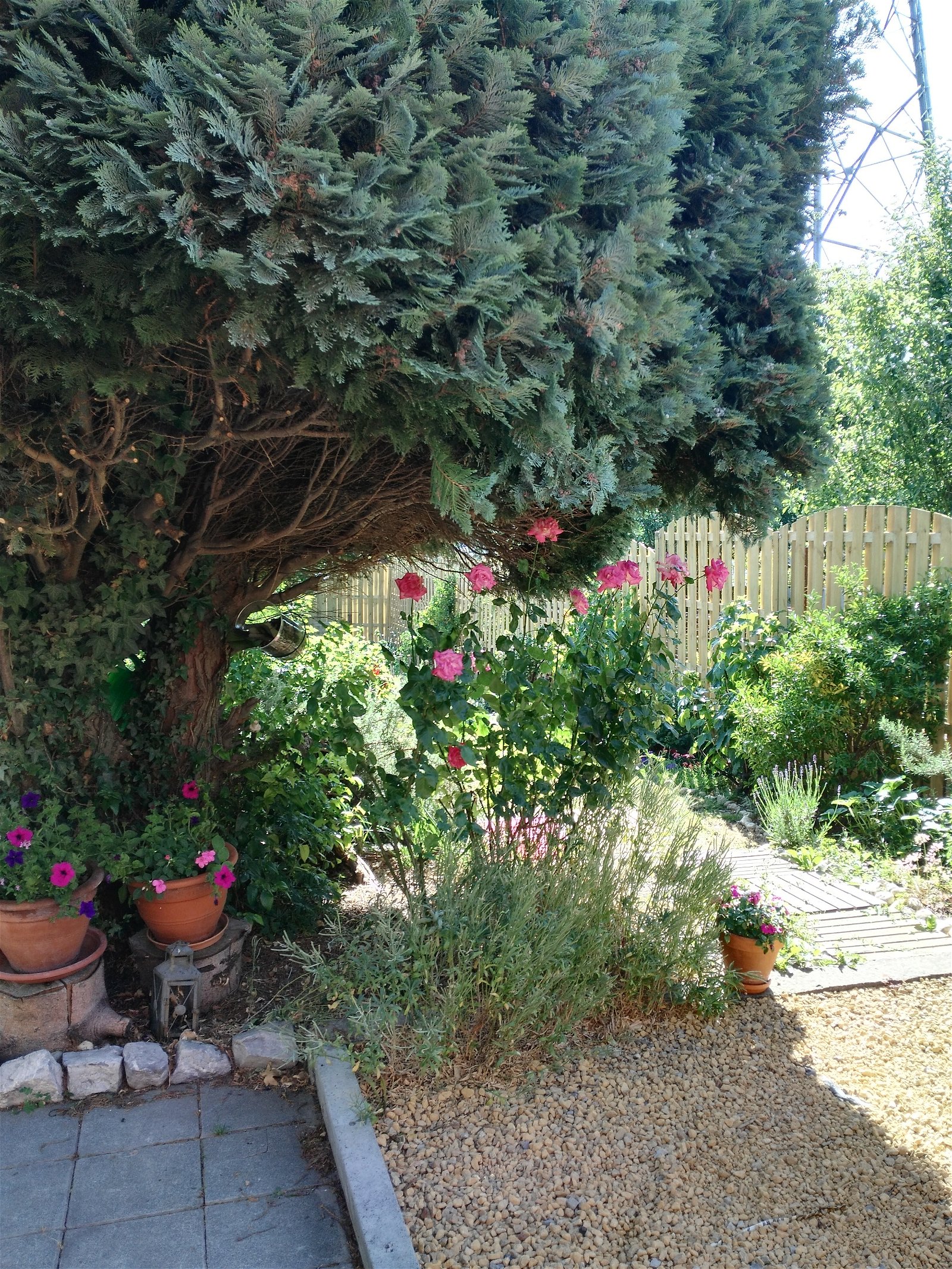 Gastgezin Charleroi 111373