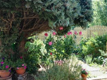 Chambre Chez L'habitant Charleroi 111373-6