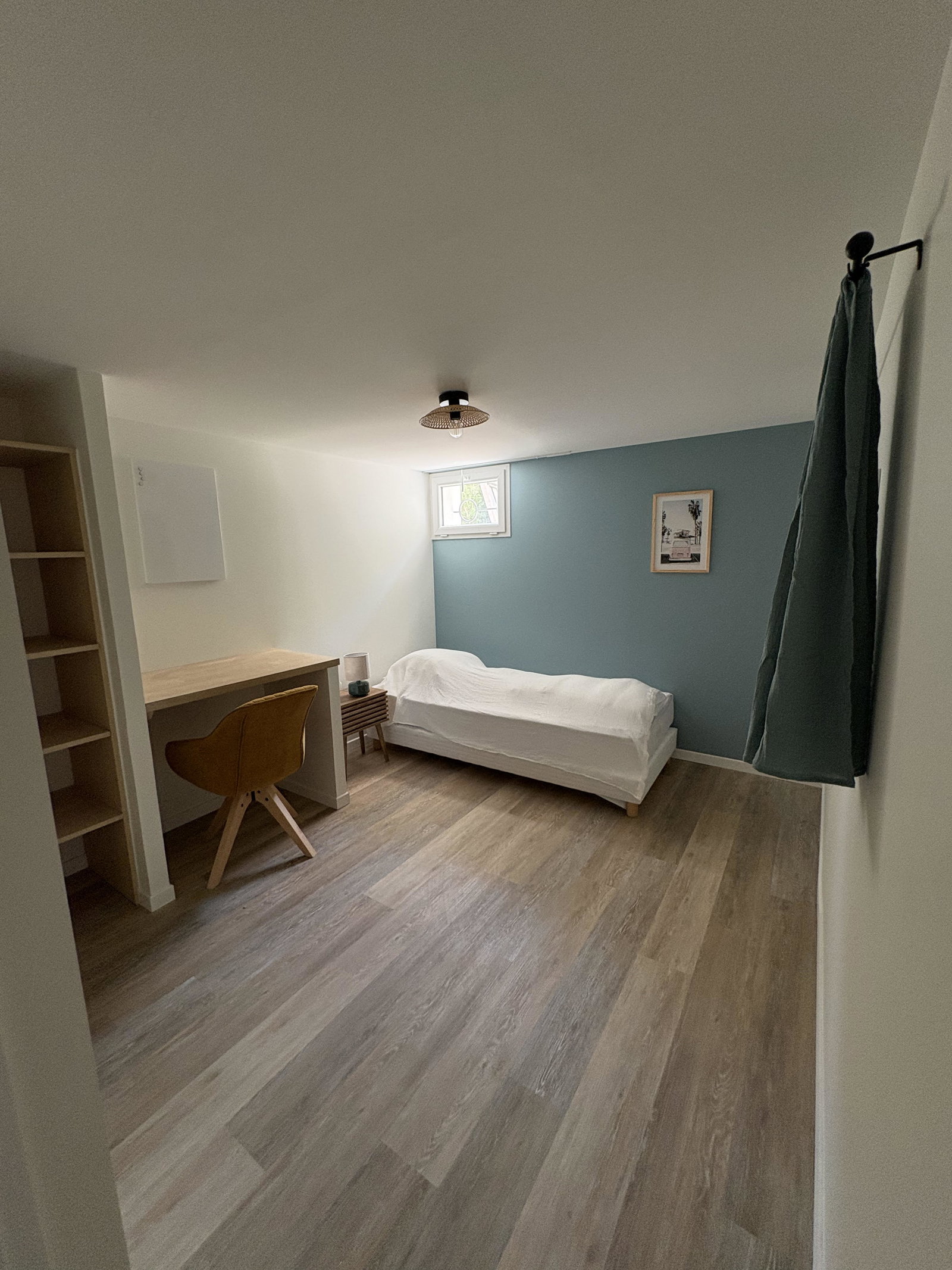 Kolokasie La Roche-sur-Yon 603981