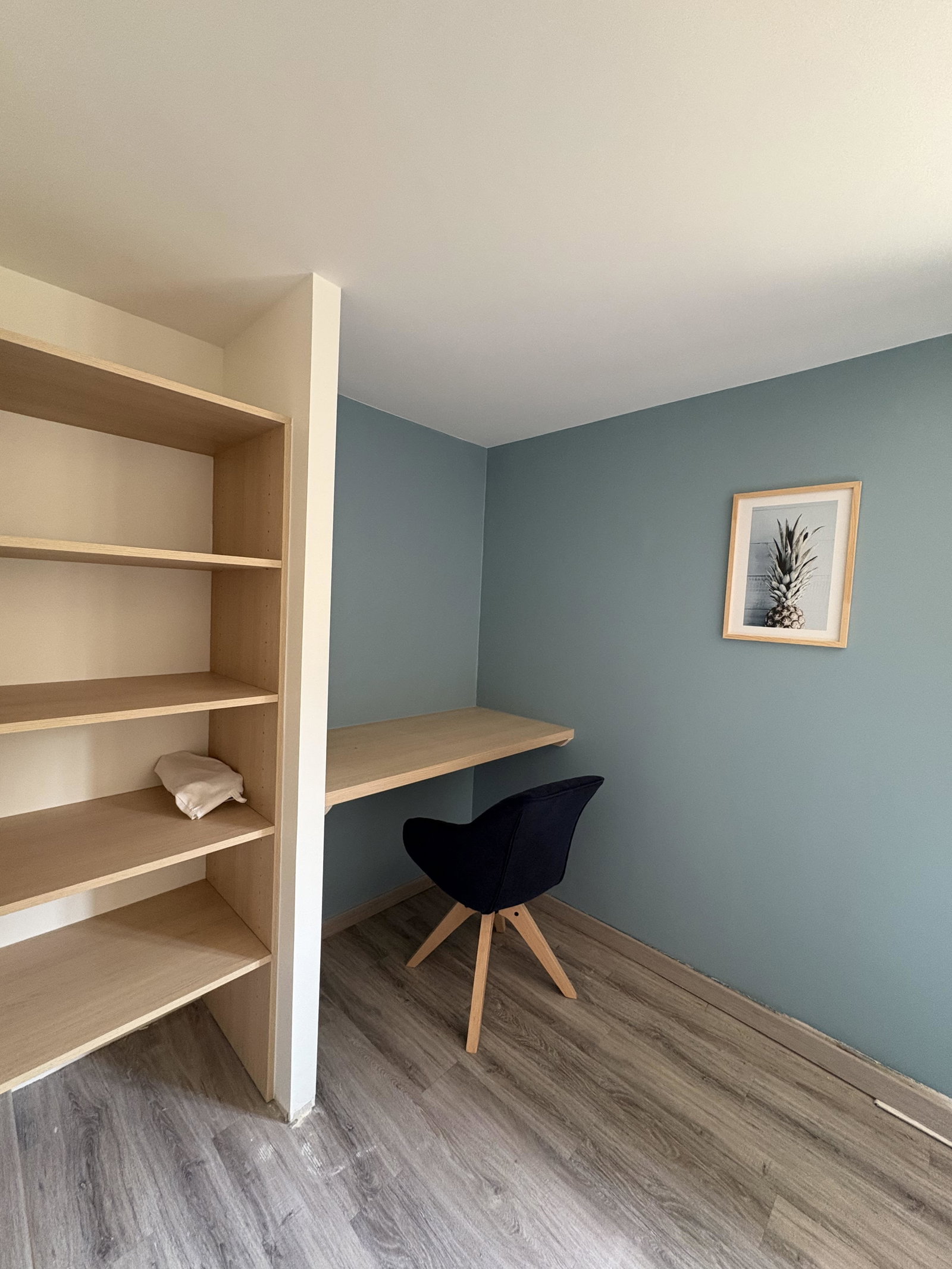 Kolokasie La Roche-sur-Yon 603981