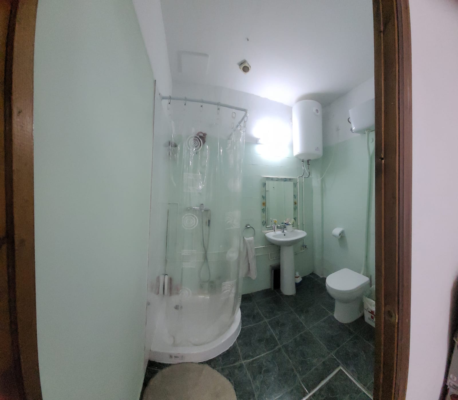 Kolokasie Sevilla 660759