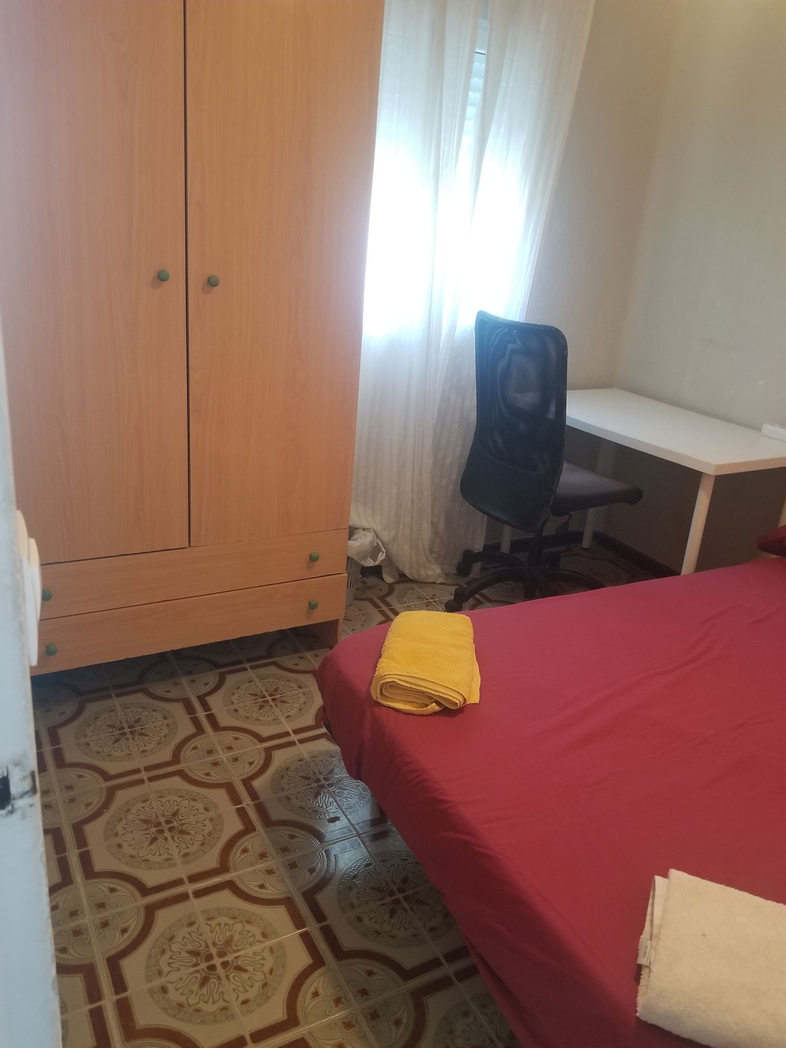 Kolokasie Sevilla 597459