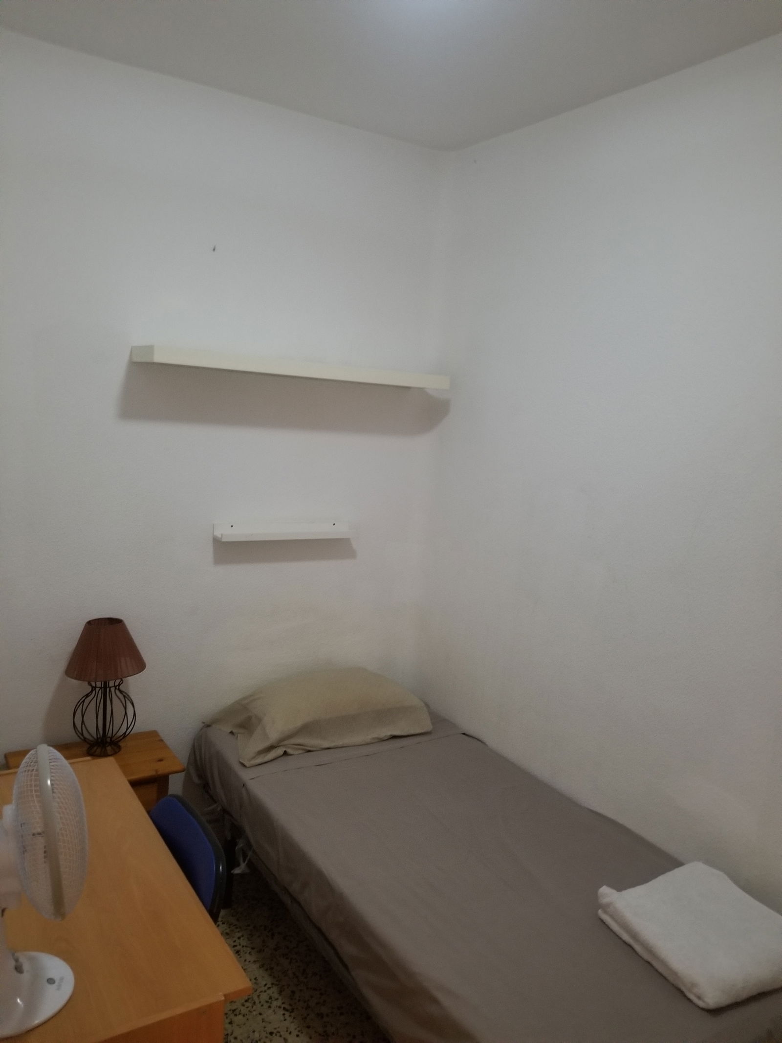 Colocación Madrid 572333