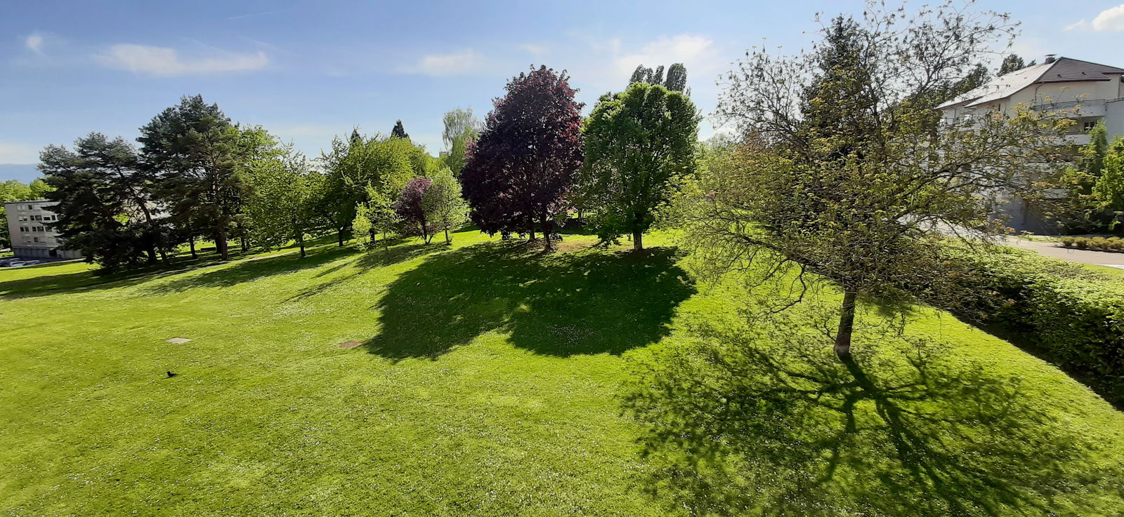 Colocatie Ferney-Voltaire 263389