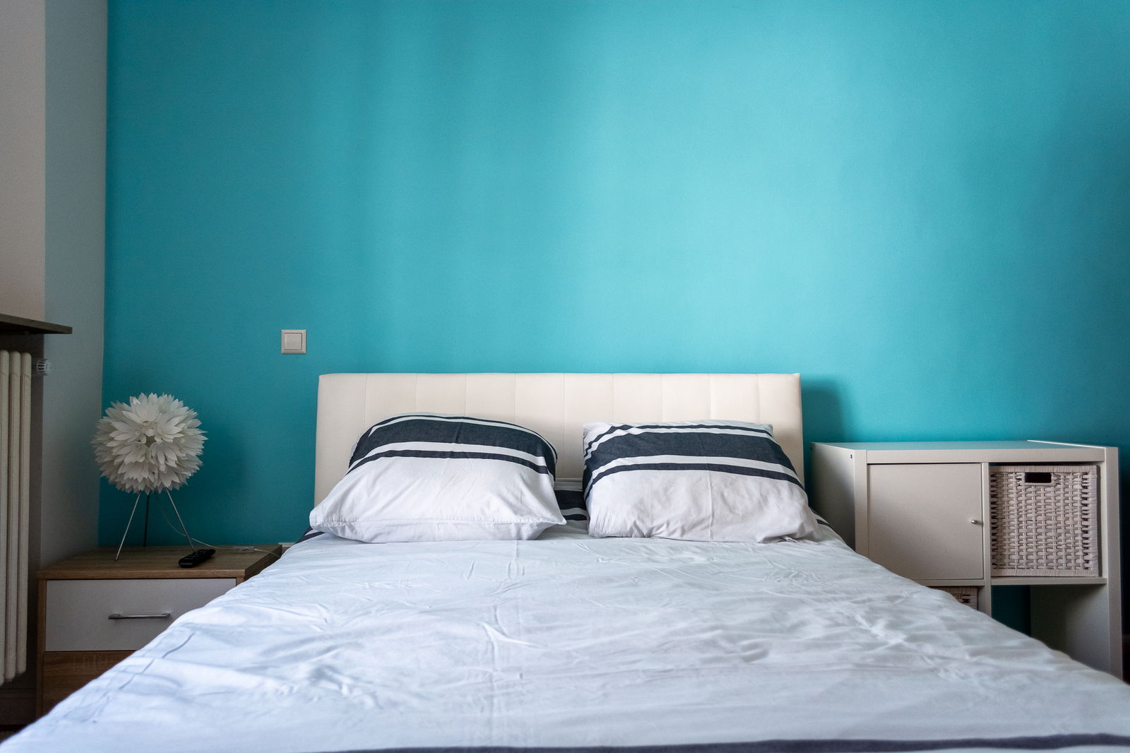 Kolokasie Dudelange 186029