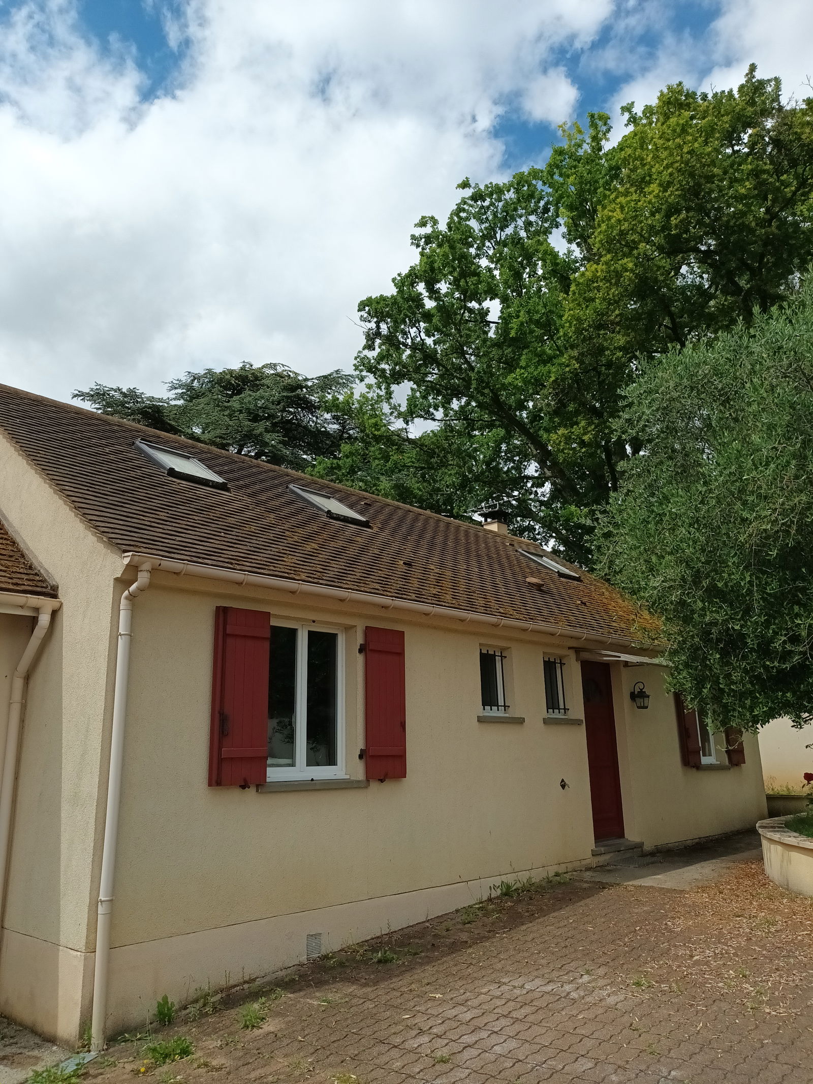 Colocatie Osmery 432638