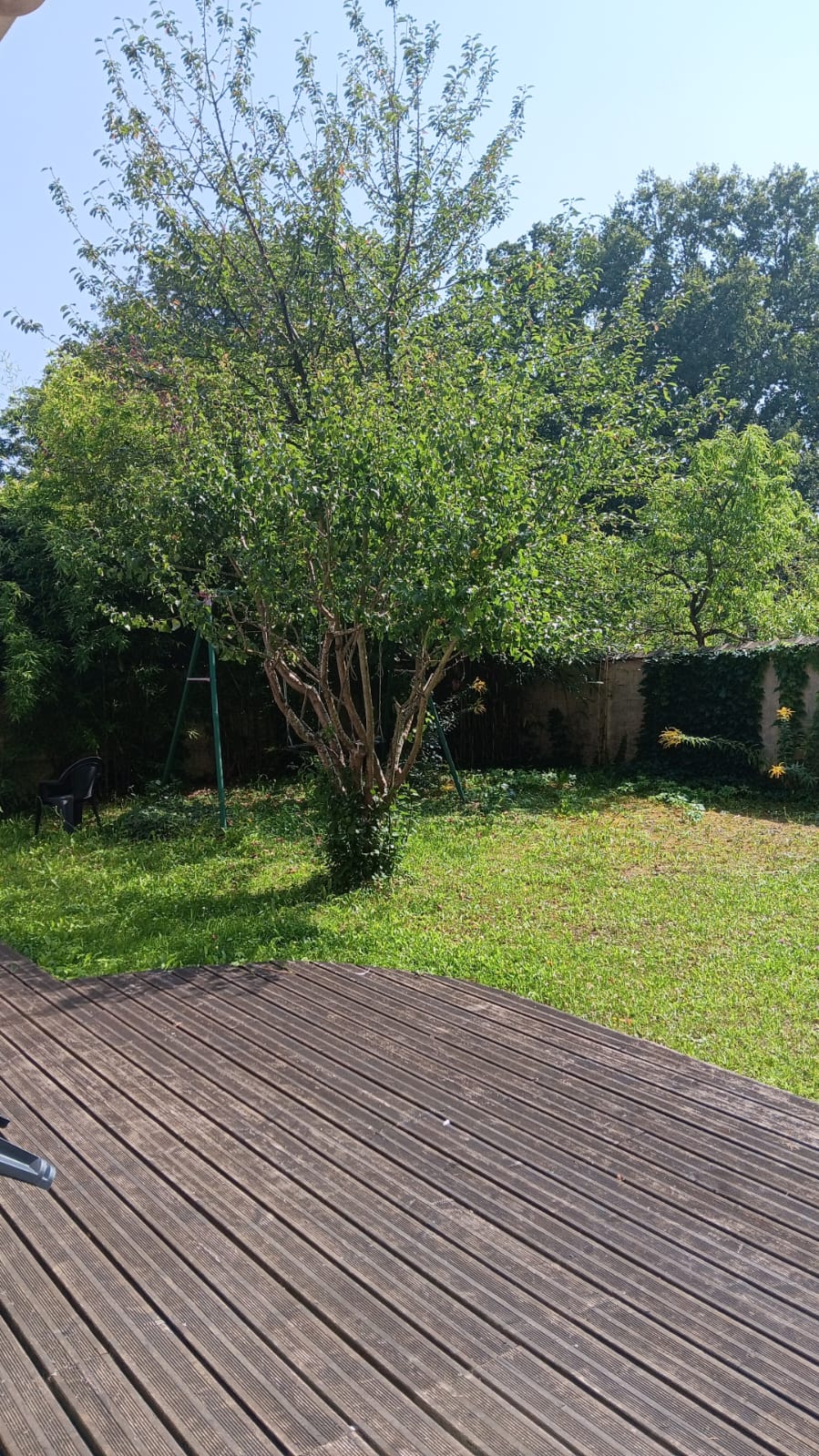 Colocatie Osmery 432638