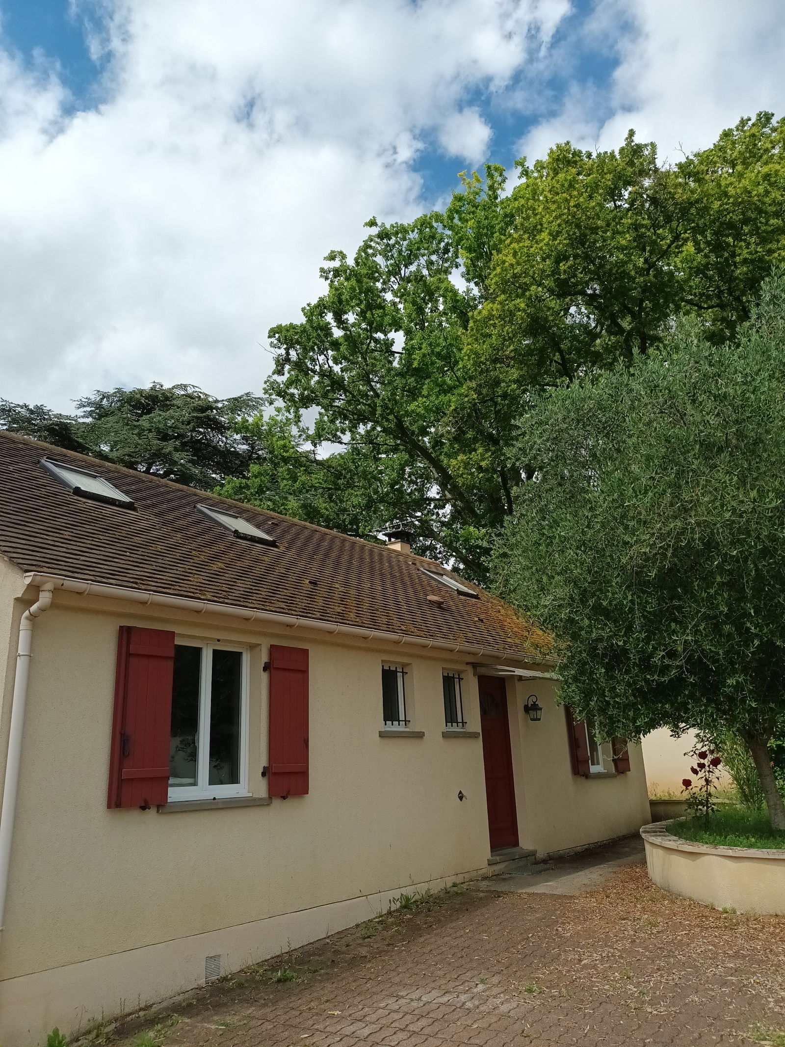 Colocatie Osmery 432638