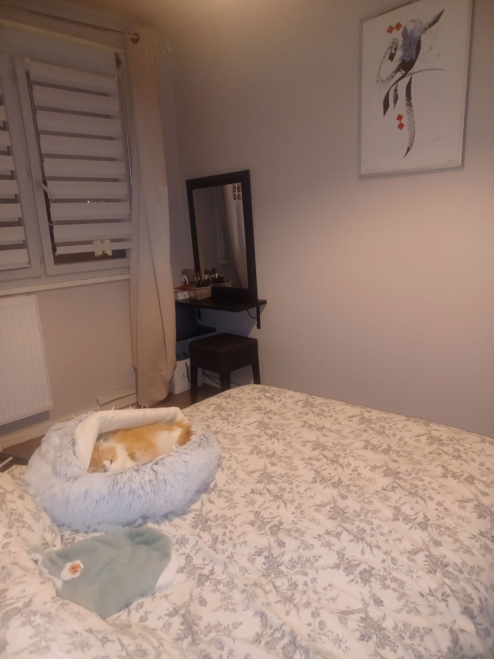 Gastgezin Saint-Chamond 469866