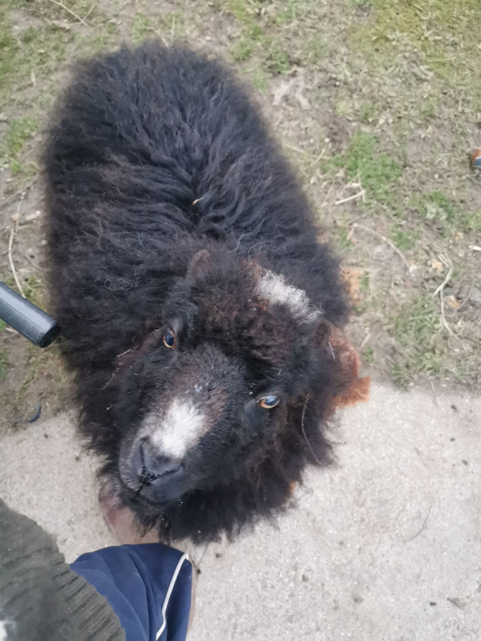 Tuisverblyf Quiers-sur-Bezonde 582989