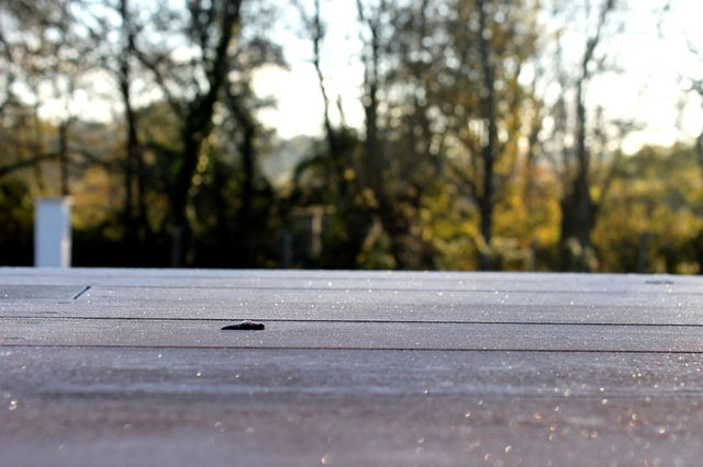 Gastekamers Yvrac 43258