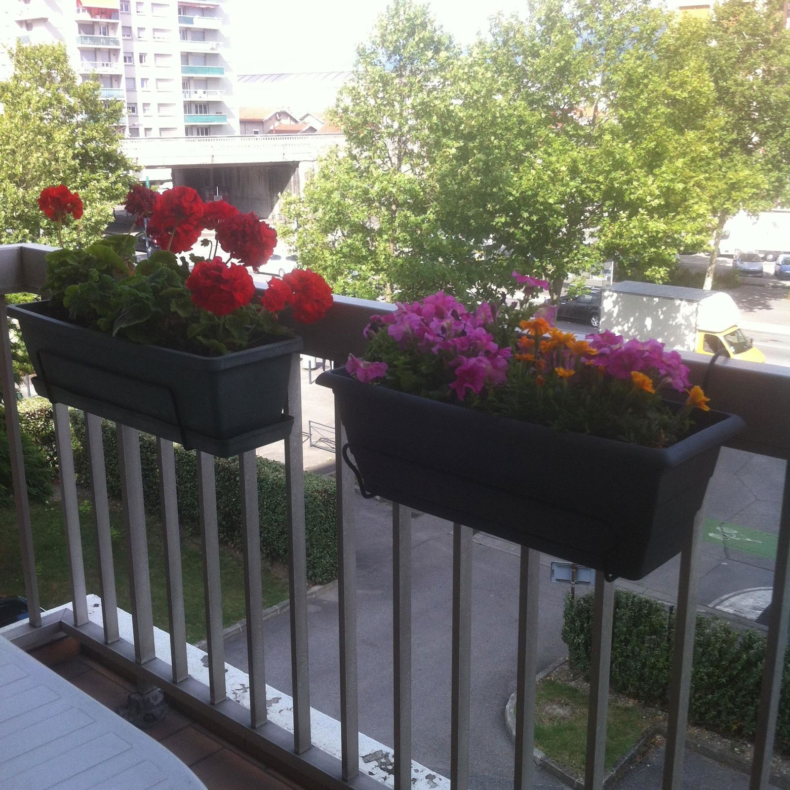 Colocatie Grenoble 178913