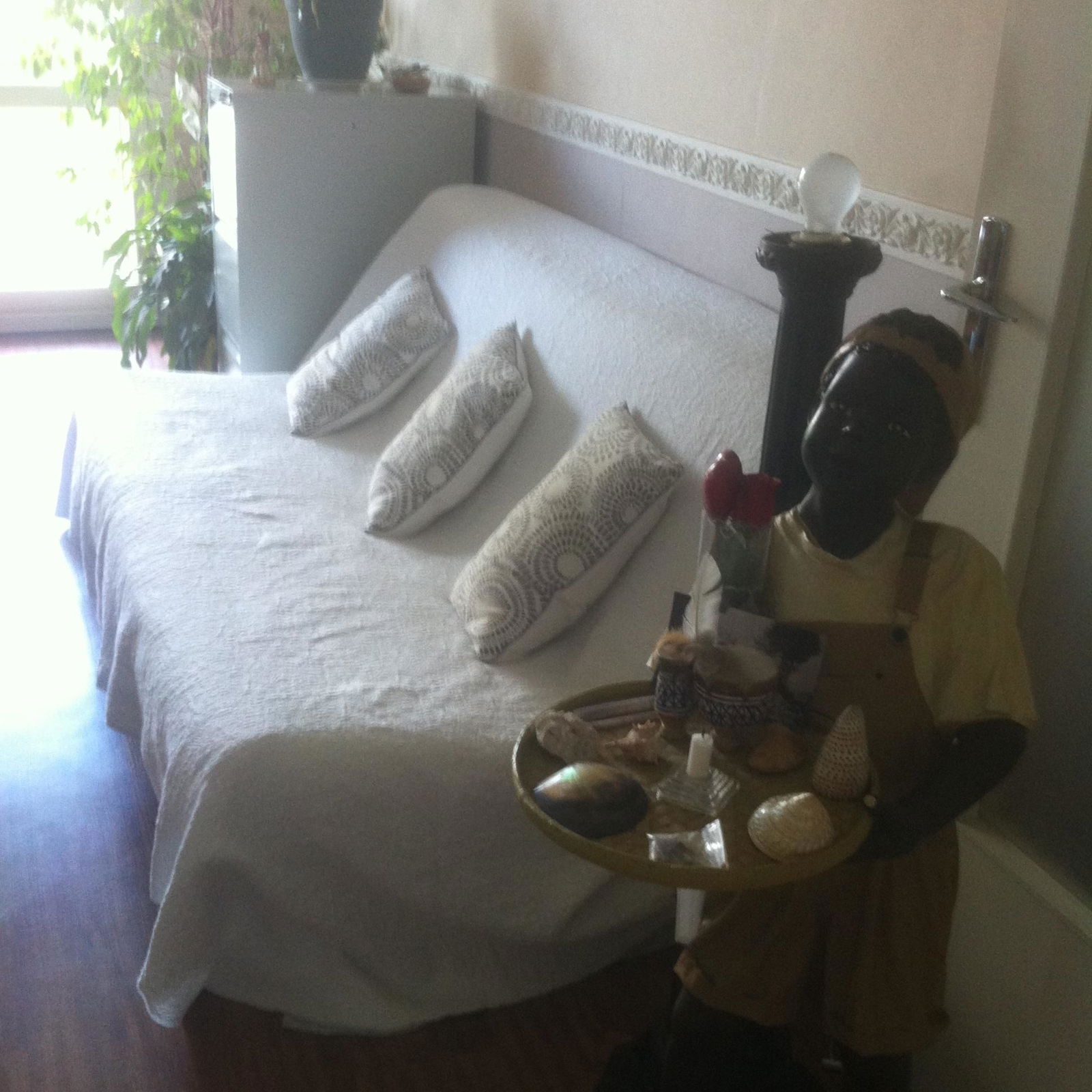 Colocatie Grenoble 178913