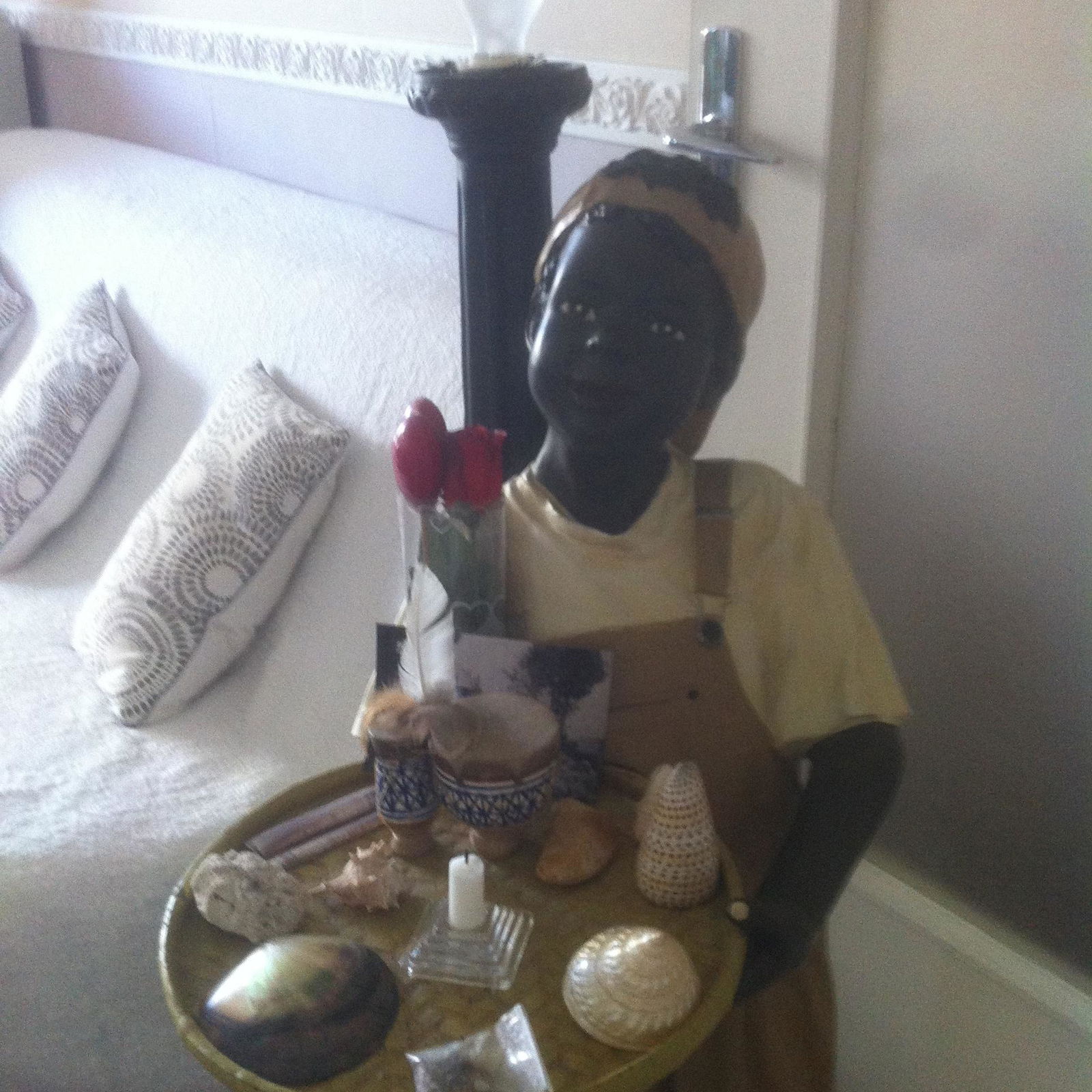 Colocatie Grenoble 178913