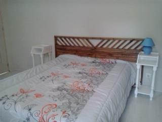 Onafhankelijke Studio Pamiers 111114