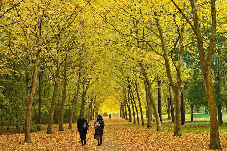 Tuisverblyf Évry 54260