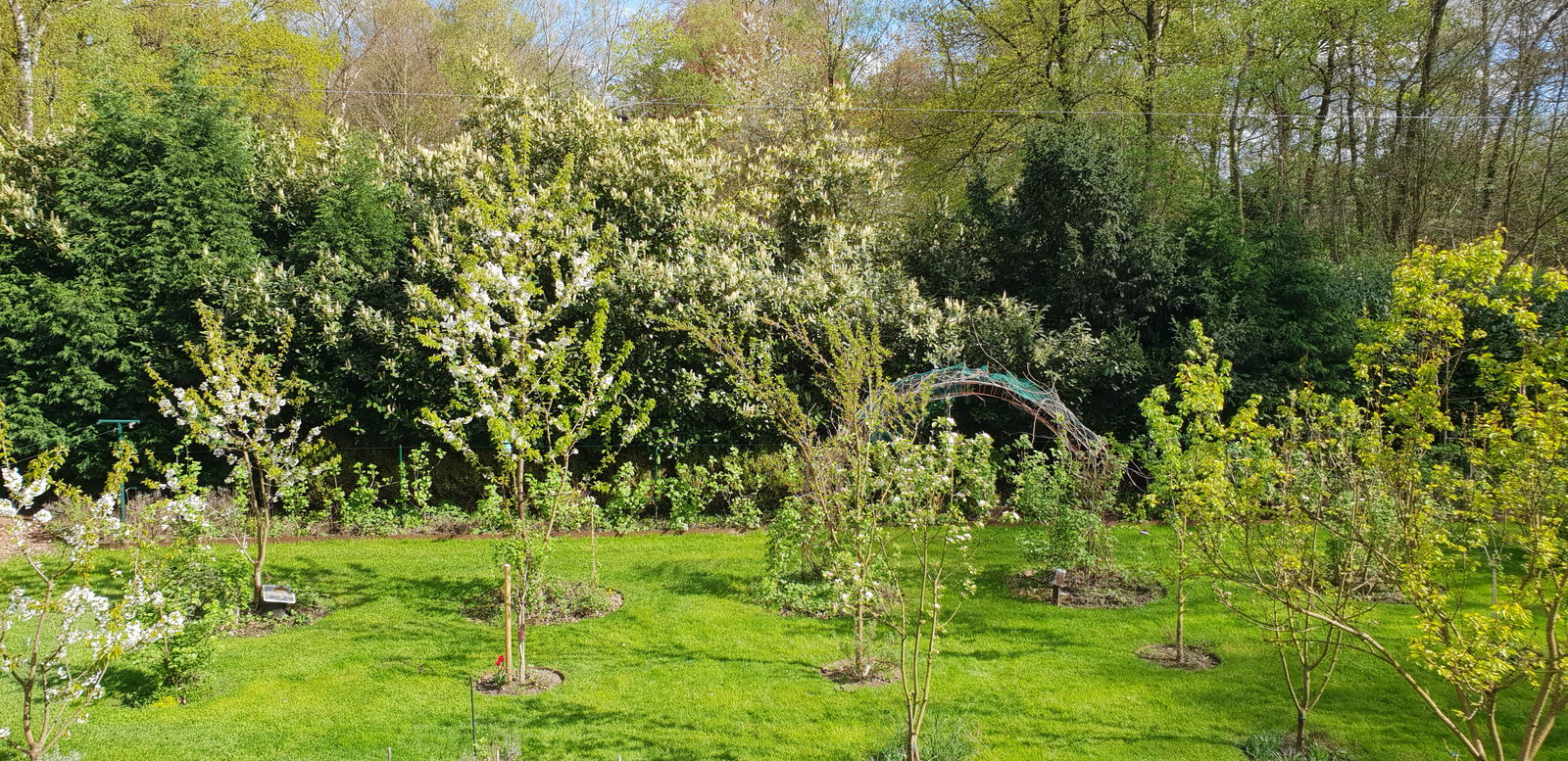 Chambre Chez L'habitant Liège 360985