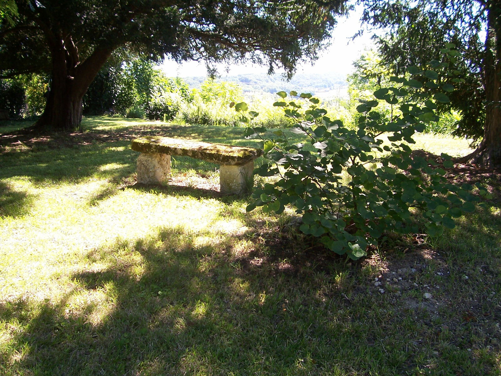 Bed And Breakfast Saint-Antoine-de-Breuilh 196094